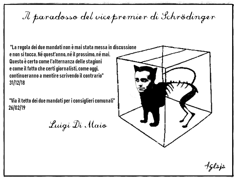 gattodimaio2