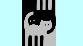 gatto di Schrödinger