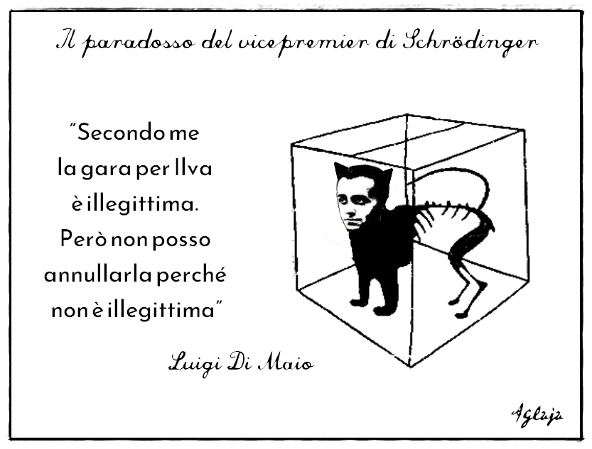 gattodimaio1