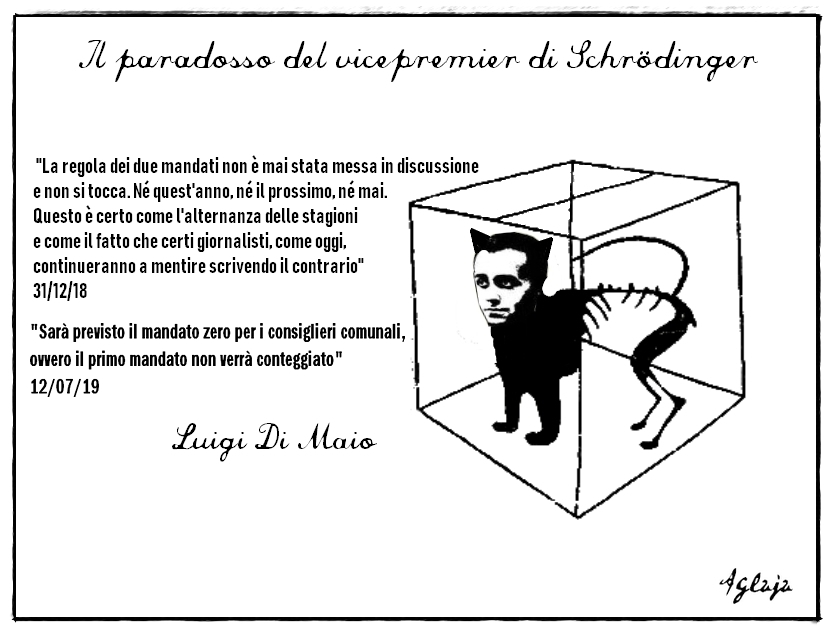 gattodimaio2