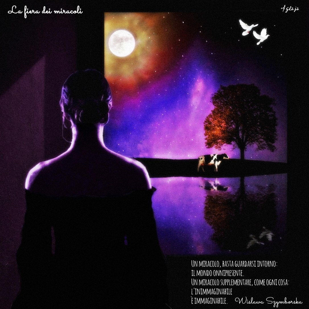 La fiera dei miracoli
